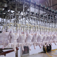 Abattage de poulet Choc électrique Tuer des oiseaux Ligne d'abattage de poulet automatique 500 Bph