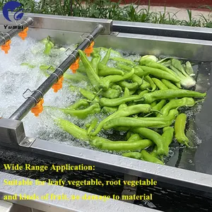 Customized Industrial Farm / Orchard Use Pepper Ginger Tomato Strawberry Citrus Air Bubble Washing Machine