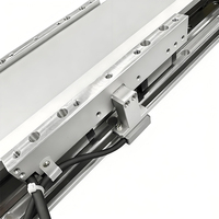 Eje de Motor Lineal de Accionamiento Directo de Alta Precisión (±0.001mm), Plataforma de Movimiento Lineal de Aluminio de Alta Velocidad y Carrera Larga para Automatización