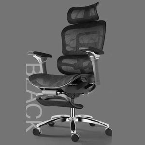 Modern Full Mesh Ergonomic Office <b>Chair</b> Adjustable <b>Back</b> Seat Height Adjustment Stainless Steel Base-Factory Direct - Product Image 2