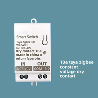 Interrupteur mural intelligent Wi-Fi à contact sec 10A/20A pour la maison, disjoncteur DC 8-40V AC 85-265V, compatible Alexa Google IP41
