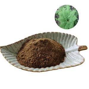 Fornitura di Polypodium Leucotomos polvere di Polypodium estratto di Polypodium Leucotomos estratto alla rinfusa 10:1 - Product Image 1