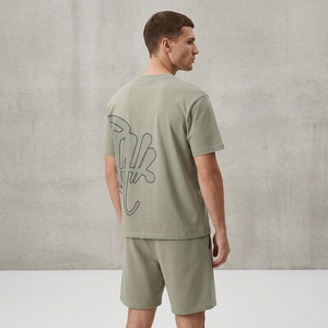 Conjuntos de Camisetas Polo Casuales de Verano Estilo Hip Hop, de Algodón y Poliéster, con Cierre, para Hombre, con Logotipo Personalizado, Conjunto de Camiseta y Pantalones Cortos con Cierre - Product Image 2
