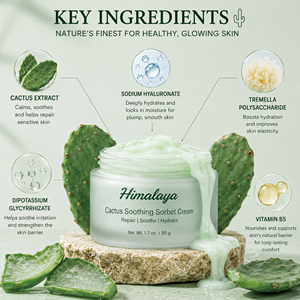 Crème <span class=keywords><strong>Hydratante</strong></span> Végétalienne au Cactus Effet <span class=keywords><strong>Sorbet</strong></span> Marque Blanche – Apaisante, Rafraîchissante et <span class=keywords><strong>Hydratante</strong></span> – Soin Après-Soleil - Product Image 5