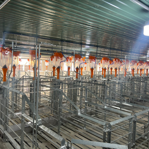 Pechera para cerdos preñados, parto para cerdos, diseño de 2 puertas galvanizado en caliente, incluye tolva de alimentación y cartón, hecho en Vietnam - Product Image 2