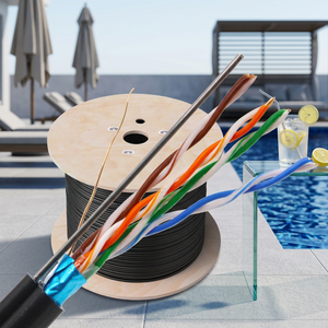 สายเคเบิลเครือข่าย Aixton Outdoor FTP Cat5e แบบมีเกราะหุ้ม  บรรจุเจลลี่  ทองแดง  รองรับ POE  หุ้ม PVC  สาย <span class=keywords><strong>LAN</strong></span>  ขนาด 0.50/0.56 มม.  พร้อมลวดเหล็กเสริมแรงในตัว - Product Image 3