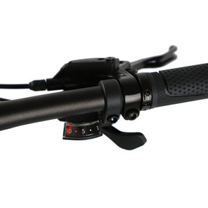 20Inch Gấp Xe Đạp Thành Phố Xe Đạp Người Đàn Ông Chiều Cao Điều Chỉnh Carbon Khung Xe Đạp - Product Image 2