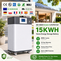 Batterie de stockage d'énergie domestique LiFePO4 8000 cycles 51.2V 300Ah 15KWH 16KWH, système de stockage d'énergie solaire sur pied
