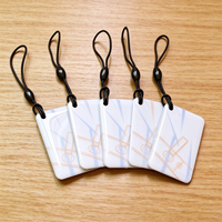 Vente chaude usine : Mini porte-clés RFID en résine époxy imprimé sur mesure, étanche, 13,56 MHz, avec anneau porte-clés