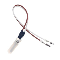 Bougie de préchauffage 12V pour chauffage diesel Eberspacher Hydronic D5WS D4WSC B5WSC, allumeur pour chauffage d'eau de stationnement auto/camping-car