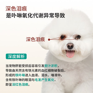 Raw Vitality Tear Stain Gel <b>Serum</b> 30ml For Cats And Dogs <b>Eye</b> Care - Product Image 4
