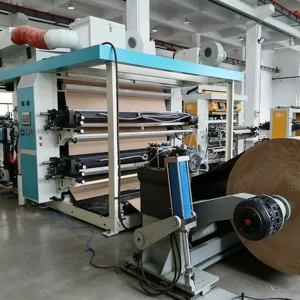 Máy in flexo hai màu cho túi giấy Máy in flexo 2 màu