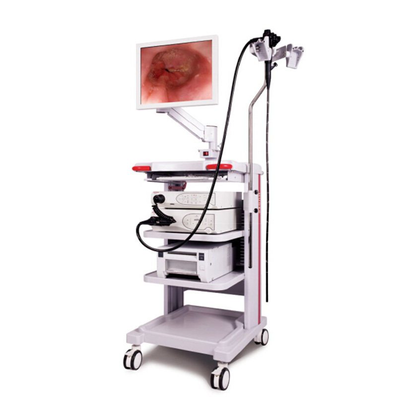 Medical Endoscope Portable Flexible Fiber Optic