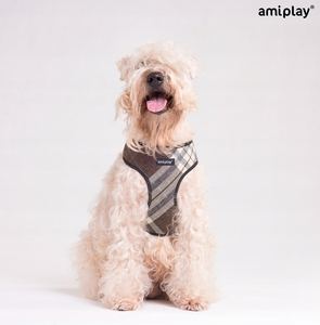 Arnés Amiplay Presión Libre London Scout XS Marrón - Product Image 6