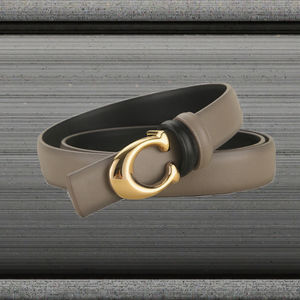 Todo-fósforo mujer Casual vaca ocultar fino de gama alta aleación suave hebilla impermeable ecológico lujo cintura decoración al por mayor - Product Image 3