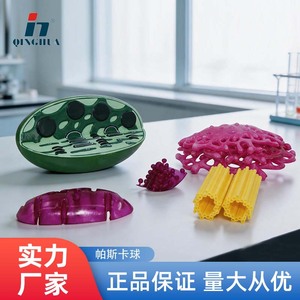 Modèle de chloroplaste Qinghua, modèle d'organes microscopiques végétaux, instrument pédagogique pour la biologie et la médecine, pour les élèves du primaire et du secondaire - Product Image 5