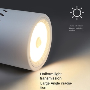 Usine directe 40W COB LED Downlight bonne qualité moulage sous pression en aluminium 12W réglable fixe intérieur hôtel utilisation CRI 95 IP33 - Product Image 5