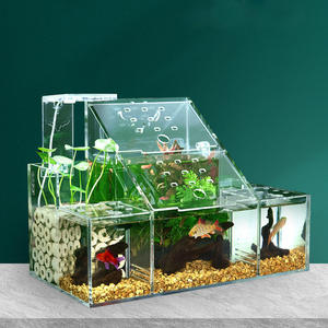 Venta al por mayor acrílico transparente en forma <span class=keywords><strong>de</strong></span> rectángulo creativo Betta Fish Tank Display Rack Multi-Grid Escritorio <span class=keywords><strong>de</strong></span> oficina Mini accesorio - Product Image 3