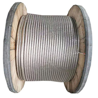 Câble Terre Nu Isolé PVC 10mm à Brins de Cuivre Tressés de 50 mm² pour Applications Souterraines – Direct Usine