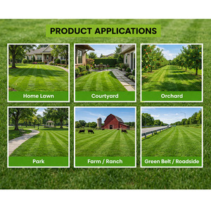 Meilleure <span class=keywords><strong>tondeuse</strong></span> à gazon automatique robotisée, <span class=keywords><strong>tondeuse</strong></span> à gazon industrielle, <span class=keywords><strong>tondeuse</strong></span> à gazon à essence, machine à couper l'herbe à vendre - Product Image 6