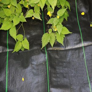 Tissu géotextile en PP tissé, tissu paysager, couverture de sol, géotextile pour drainage et contrôle de l'érosion - Product Image 6