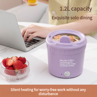 ZY - Pot multifonctionnel portable pour la maison, l'extérieur, l'hôtel, la voiture, la restauration rapide - Revêtement antiadhésif - Pot à nouilles instantanées - Pot électrique - 1,0 L