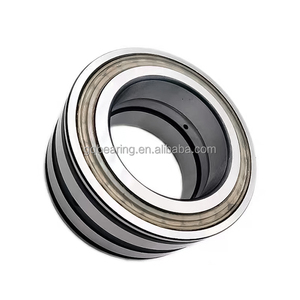 SL045014 Rodamiento de rodillos cilíndricos de doble fila Complemento completo NNF5014 PP SL04 5014 - Product Image 2
