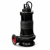 Pompe submersible durable en fonte de haute qualité pour eaux usées, OEM, grande capacité, série WQ pour l'irrigation