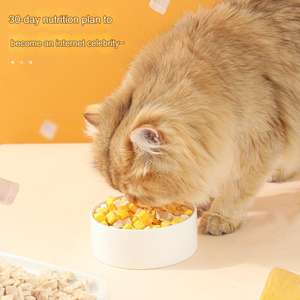 Pollo liofilizado para mascotas, yema de huevo fresca, aperitivos para gatos, pellets de pollo, pechuga de pollo de uso general para perros y gatos - Product Image 3