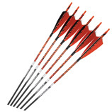 Flèches en carbone Pinals Hunting en gros, rouge et noir avec plumes, flèches en carbone pur pour la chasse sur cible