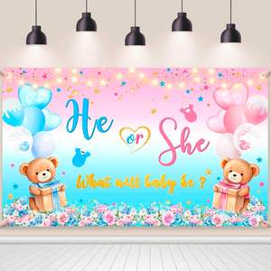 ฉากหลังถ่ายภาพเฉลยเพศเด็กชายหรือเด็กหญิง บอลลูนลมร้อน หมี ฉากหลังปรับแต่งได้ ป้ายปาร์ตี้ฉลองทารก - Product Image 6