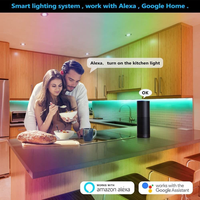 Nouveau modèle Alexa Google Tuya 5050 12V Flexible RGB TV rétro-éclairage kit Smart WIFI led bande lumineuse