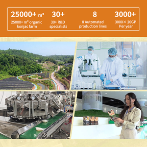 Nouilles de konjac au goût de carotte, séchées, sans sucre, sans gluten, pâtes, faible teneur en calories, végétaliennes, riches en fibres, nouilles asiatiques, boîte de repas saine - Product Image 6