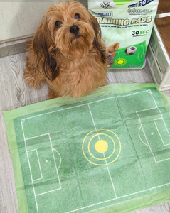 Одноразовые впитывающие пеленки для приучения щенков к туалету с индивидуальным логотипом, быстросохнущие, супервпитывающие, очень большие, для собак - Product Image 1