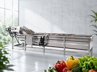 RVS luchtbellenwasmachine voor voedselverwerking, groente- en fruitreiniging