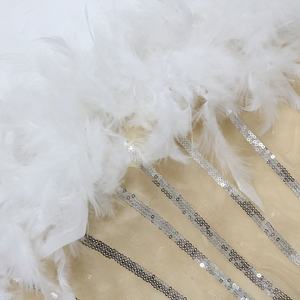 Robe midi à paillettes transparente pour femme, robe longue de soirée d'anniversaire à plumes 2025 - Product Image 6