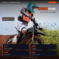 Cheerdmoto Electric Motorcycle 96V 6000W 50AH Lightweight Adult Electric Motorbike Off-road for Mountain Dirt Track Riding