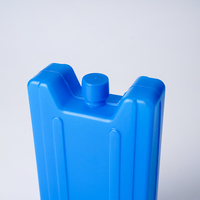Blocs de glace en plastique dur réutilisables personnalisés Glacière en gel pour congélateur Brique de glace