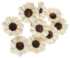 การจัดดอกไม้แห้งต้นปาล์มซันนี่คุณภาพระดับพรีเมียมสำหรับตกแต่งบ้านสำนักงานและงานแต่งงานที่เป็นที่นิยมสำหรับการฟอกดอกไม้และต้นไม้แบบทำมือ - Product Image 4