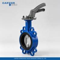 Vanne papillon à disque DIN certifiée CE Carter pour eau/air/gaz/fluide faiblement corrosif en fonte ductile, acier au carbone, acier inoxydable