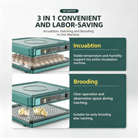 Incubateur d'œufs commercial automatique pour volailles, poulets, canards et oies