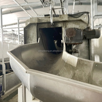 Ligne d'abattage porcin clé en main, équipement d'abattage clé en main, fabricant d'équipements d'abattage, usine d'abattage porcin