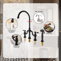Robinet de cuisine classique en laiton avec finition brossée, design traditionnel et douchette pour utilisation en cuisine