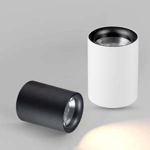 Urface-luz antideslumbrante montada, <span class=keywords><strong>20W</strong></span> - Product Image 1
