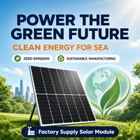 Panneau solaire monocristallin noir de type N 730W, cellules demi-coupées à haute efficacité (23,5%), pour système d'énergie solaire agricole