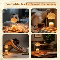 Lampe chauffe-cire électrique vintage de luxe en cristal, design nid d'oiseau, à intensité variable, pour bougies et aromathérapie, pour la décoration intérieure