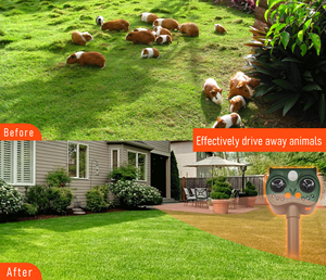 OMNI CATCH Modes d'installation faciles <span class=keywords><strong>Alarme</strong></span> réglable Led clignotante Répulsif à ultrasons pour animaux nuisibles à énergie solaire - Product Image 6