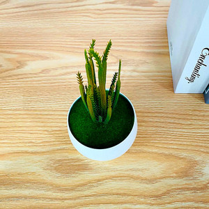 Planta Suculenta Artificial Qi Xing en Maceta de 19 cm, PVC Suave, Decoración para el Hogar - Product Image 4