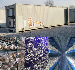 Nấm hệ thống nông nghiệp 20/40ft nấm phát triển <span class=keywords><strong>container</strong></span> - Product Image 4