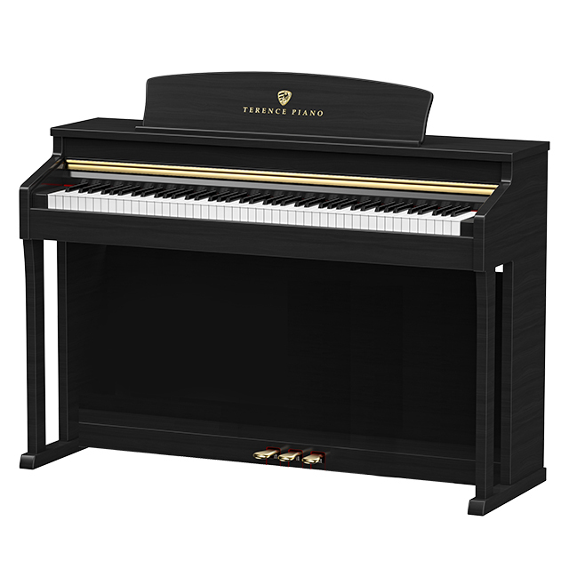 [Modello di punta] Nero elegante